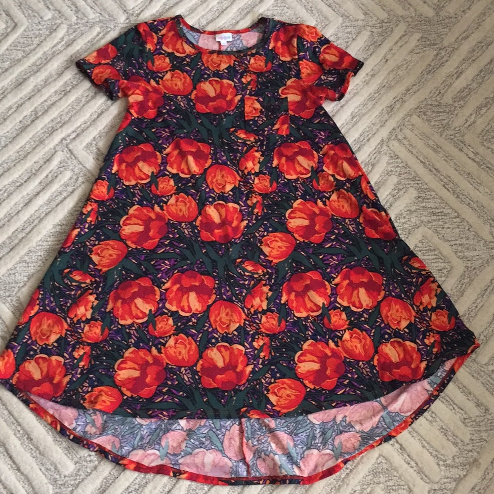 Beautiful and fun LuLaRoe sun dress